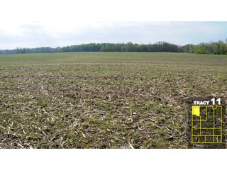Property photo 62 - Land Auction 1035 Acres In 16 tracts - Farm Land - Sullivan Co. Indiana & Clark Co., Illinois